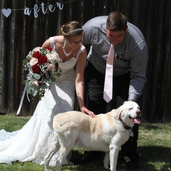 Meet your Posher, Haylee - Picture 1 of 1